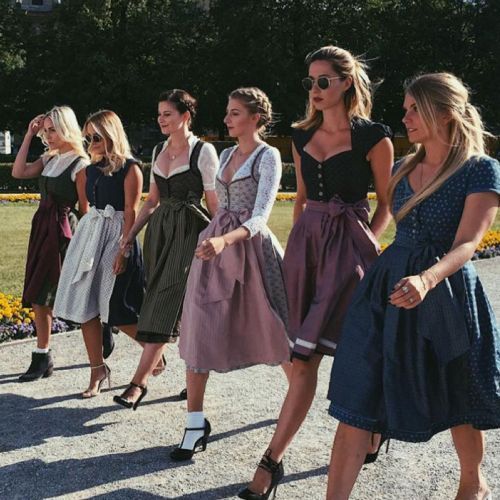 Dirndl German Traditional Womens Dirndl Dress